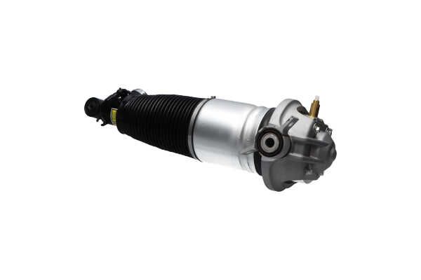 Kavo Parts SAS-10043 Air Suspension Strut