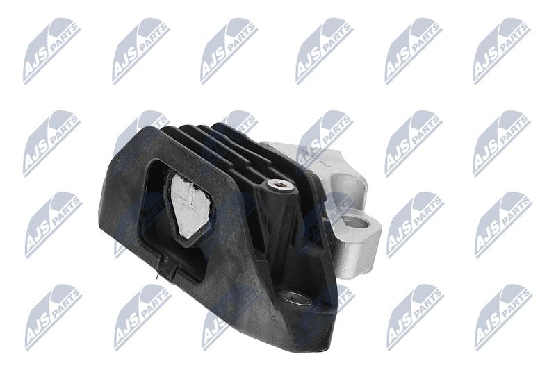 Paigutus, Mootor, NTY ZPS-CH-165