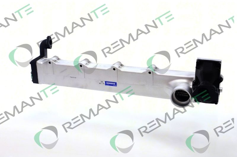 REMANTE 010-001-000002R - EGR Module