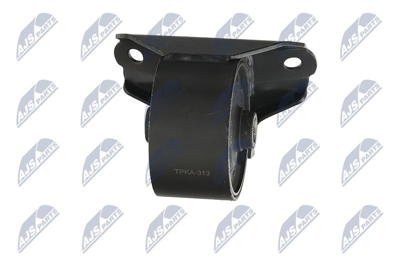 Paigutus, Mootor, NTY ZPS-KA-313