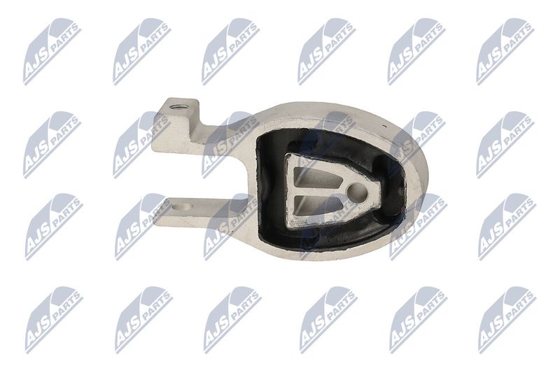 Paigutus, Mootor, NTY ZPS-FR-037