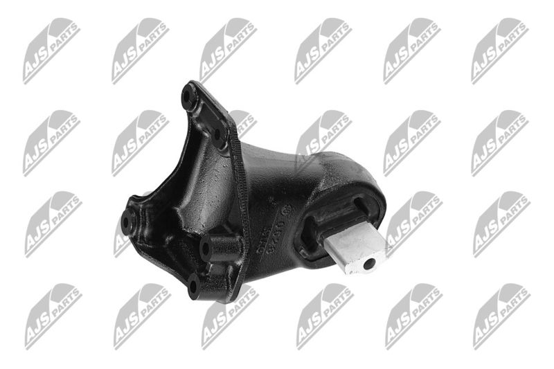 Paigutus, Mootor, NTY ZPS-CH-173