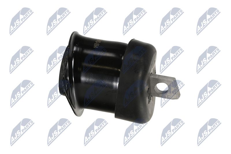 Paigutus, Mootor, NTY ZPS-HD-094