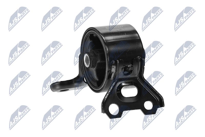 Paigutus, Mootor, NTY ZPS-CH-179