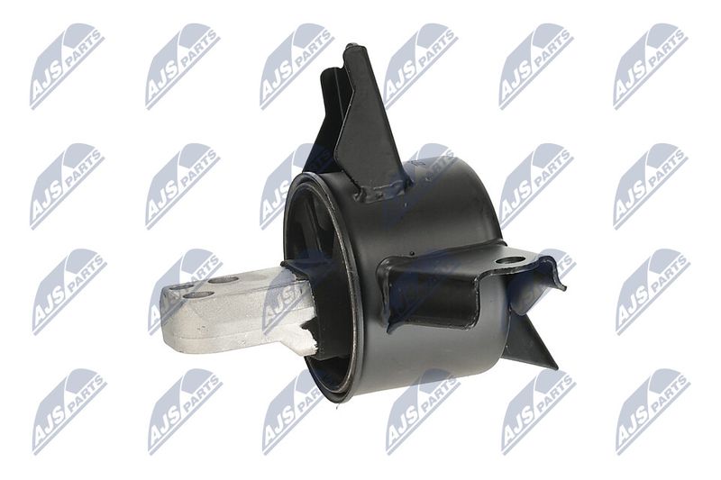 Paigutus, Mootor, NTY ZPS-KA-335