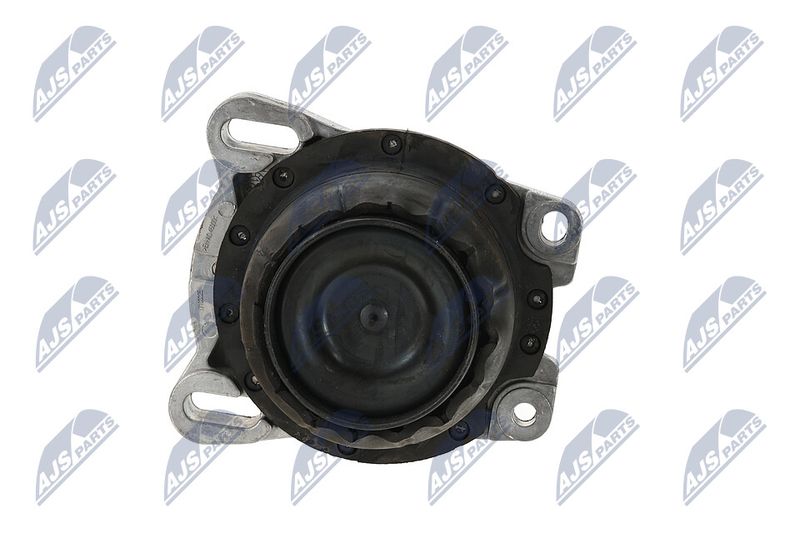 Paigutus, Mootor, NTY ZPS-FR-013