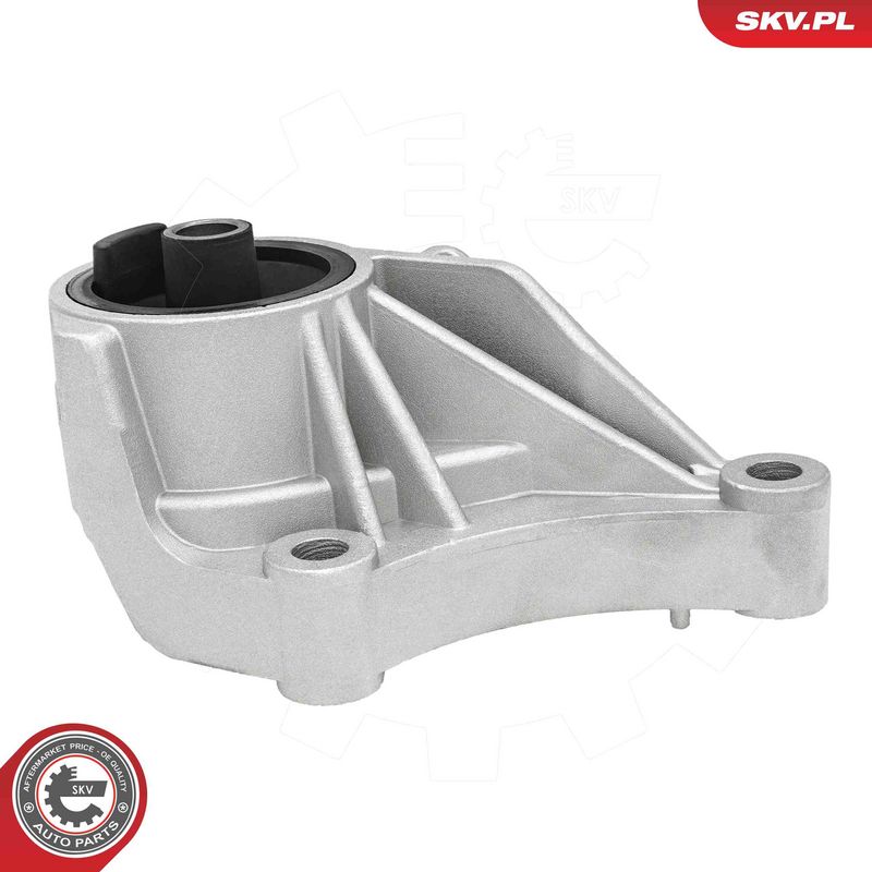 Paigutus, Mootor, ESEN SKV...