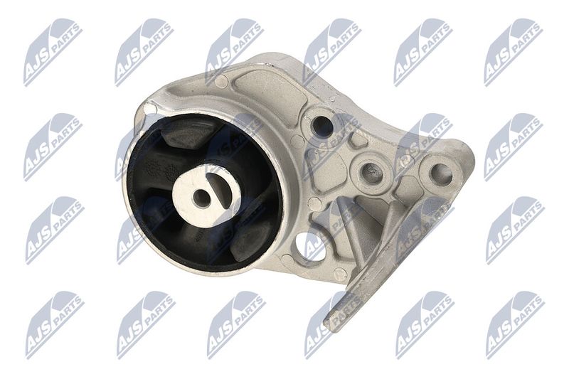 Paigutus, Mootor, NTY ZPS-CH-113