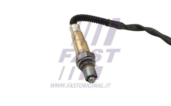 FT54113_2_1.JPG