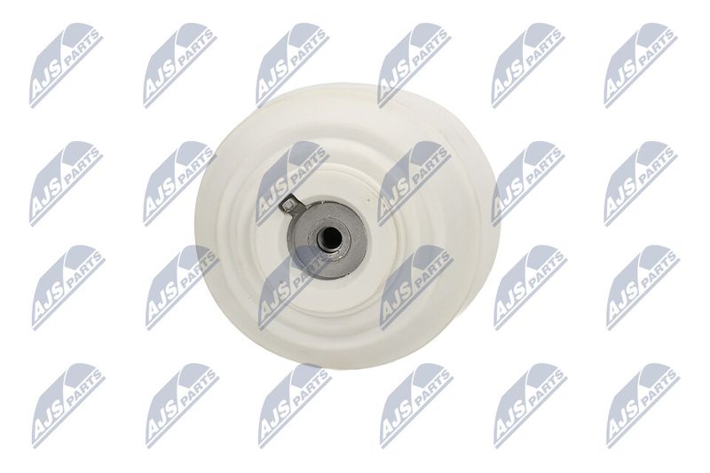 Paigutus, Mootor, NTY ZPS-ME-109