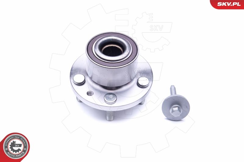 ESEN SKV 29SKV188 Wheel Bearing Kit