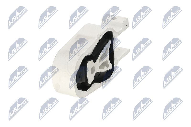 Paigutus, Mootor, NTY ZPS-FR-072