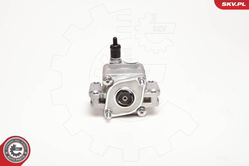 ESEN SKV 10SKV109 Hydraulic Pump, steering