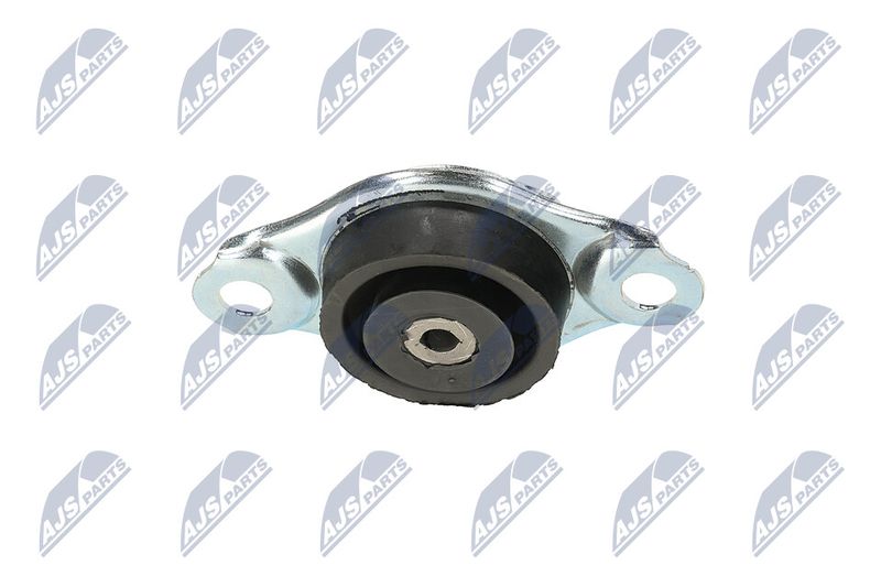 Paigutus, Mootor, NTY ZPS-FT-005