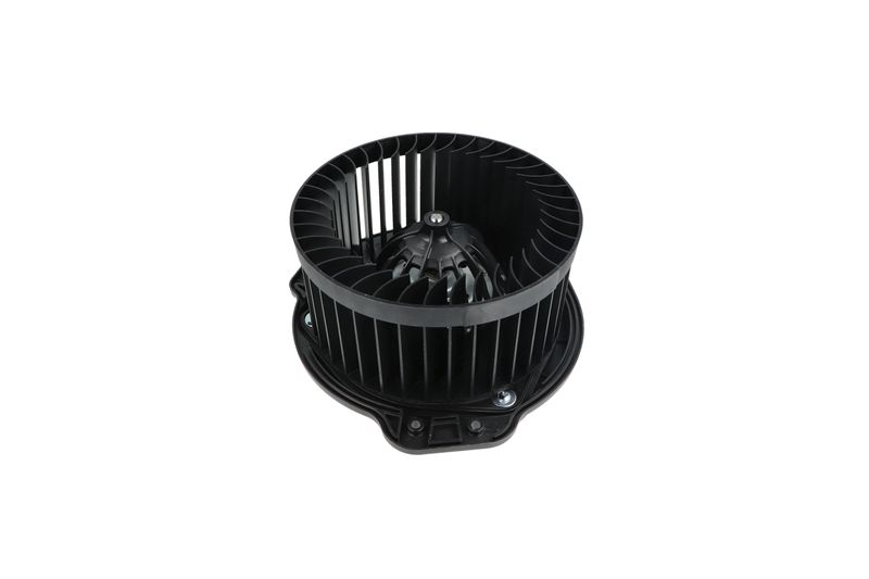 Salongipuhur, NRF 34136