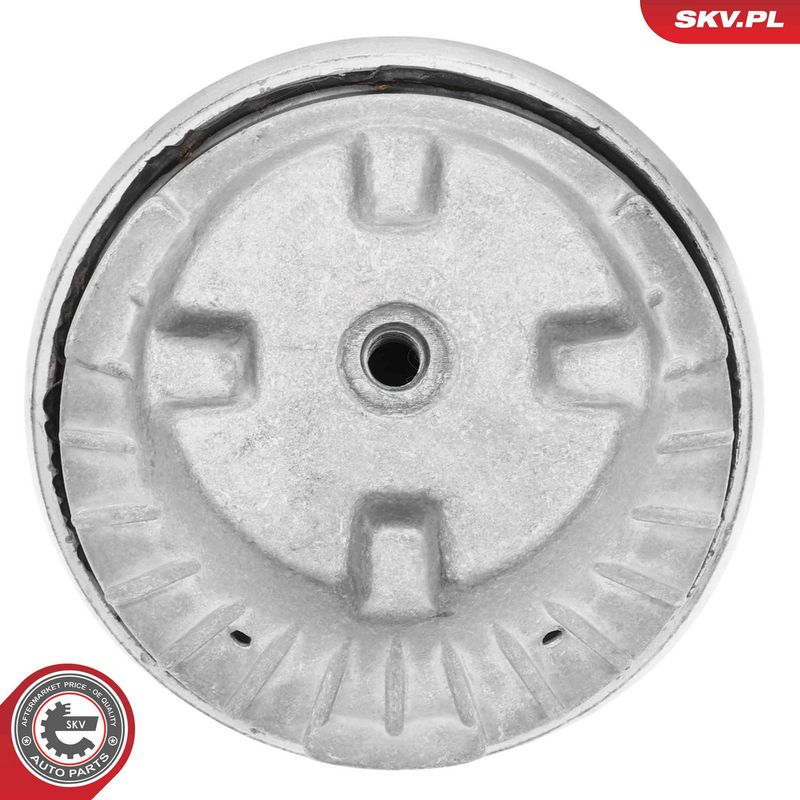 Paigutus, Mootor, ESEN SKV 75SKV006