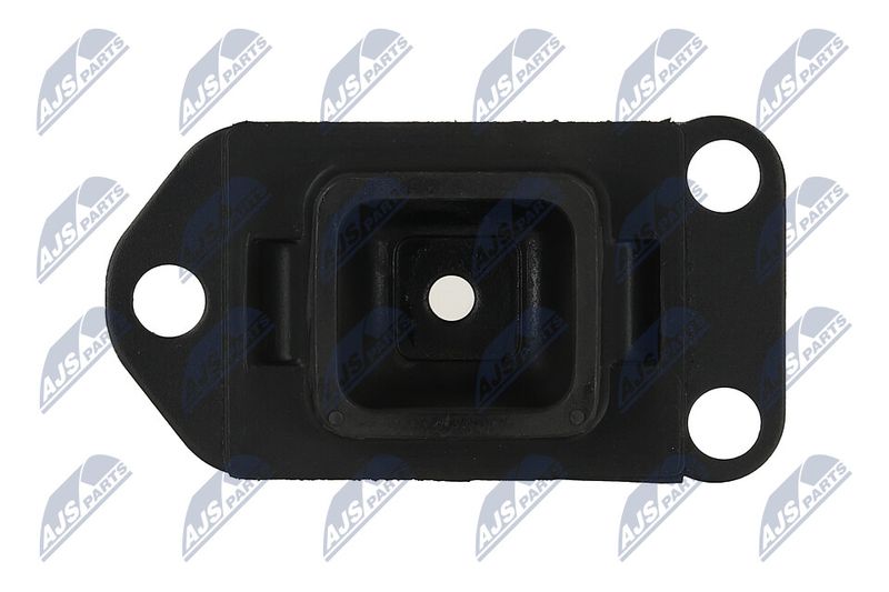 Paigutus, Mootor, NTY ZPS-NS-130