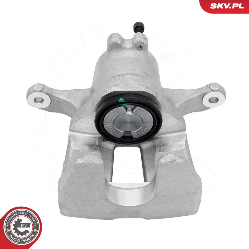 Pidurisadul, ESEN SKV 89SKV494