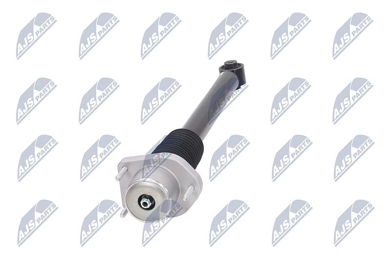 Amort, NTY A-LR-015