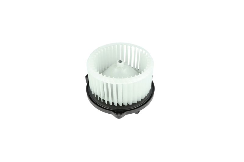 Salongipuhur, NRF 34329