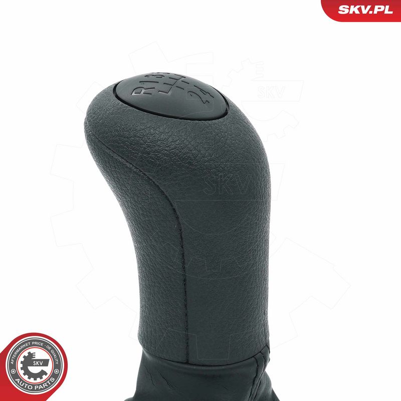 Käigukanginupp, ESEN SKV 63SKV479