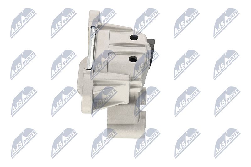 Paigutus, Mootor, NTY ZPS-CH-133