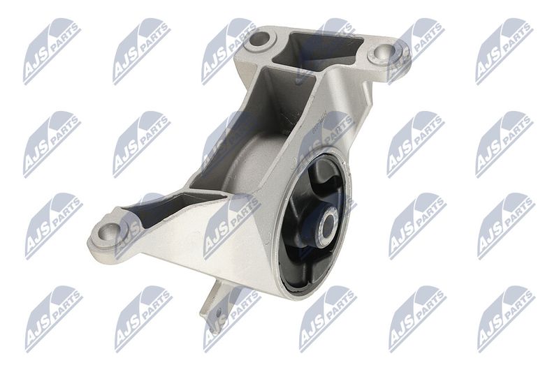 Paigutus, Mootor, NTY ZPS-PL-039