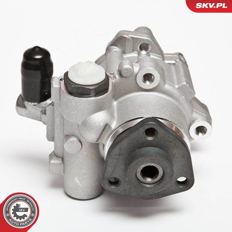 Hüdraulikapump, roolimine, ESEN SKV 10SKV043
