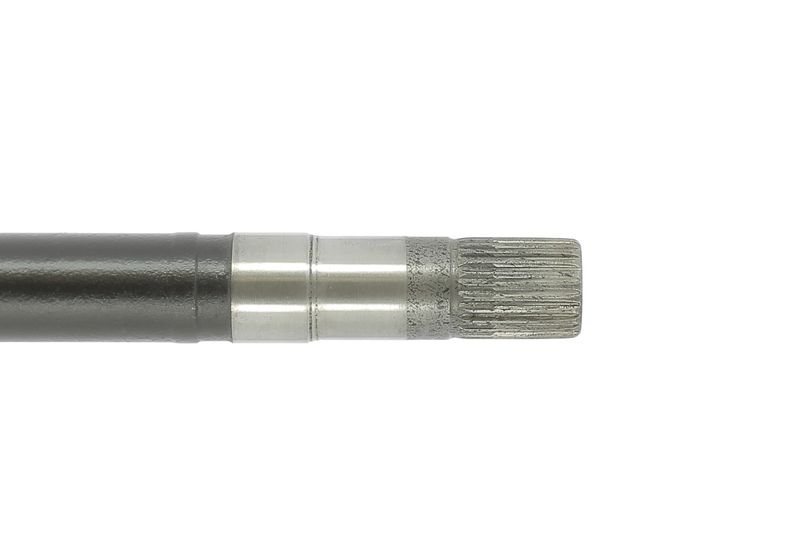 CEVAM 5881 Pusašis