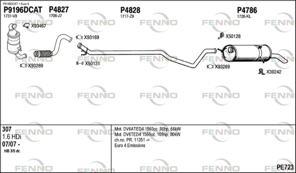 PE723.JPG