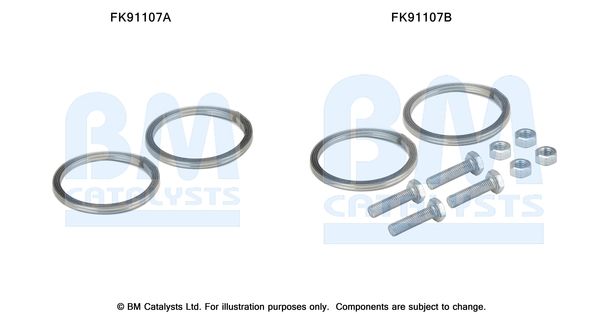 BM CATALYSTS szerelőkészlet, katalizátor FK91107