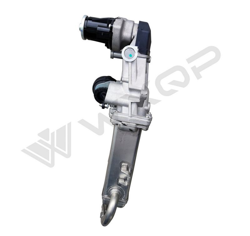 WXQP 381691 EGR Module