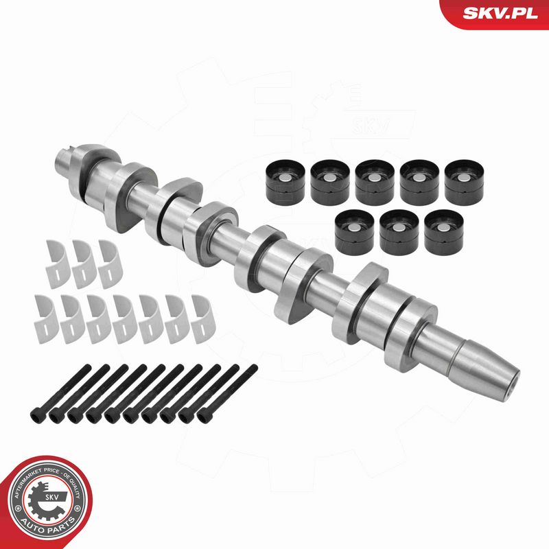 ESEN SKV 80SKV306 Camshaft Kit