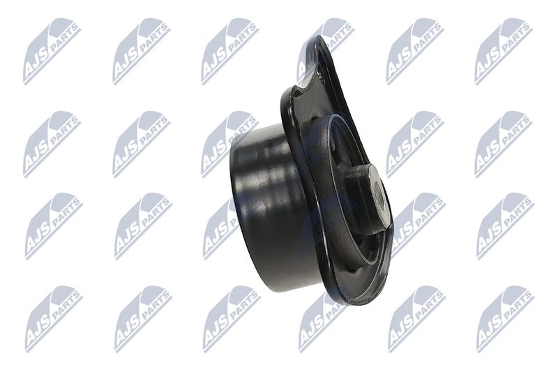Paigutus, Mootor, NTY ZPS-MS-094