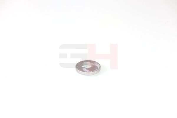 caster shim, sillatala, GH GH-391582
