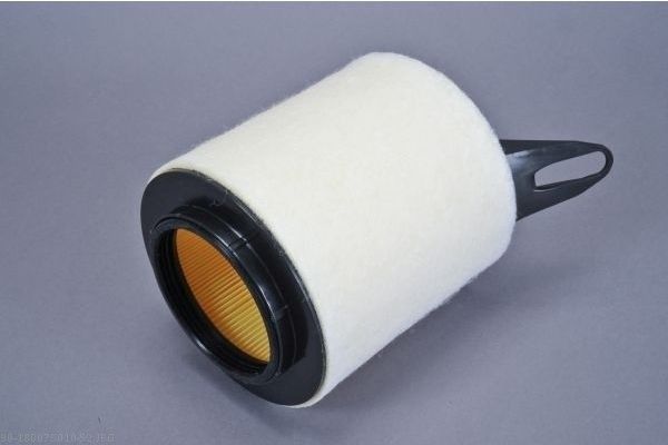 AUTOMEGA 180075010 Air Filter