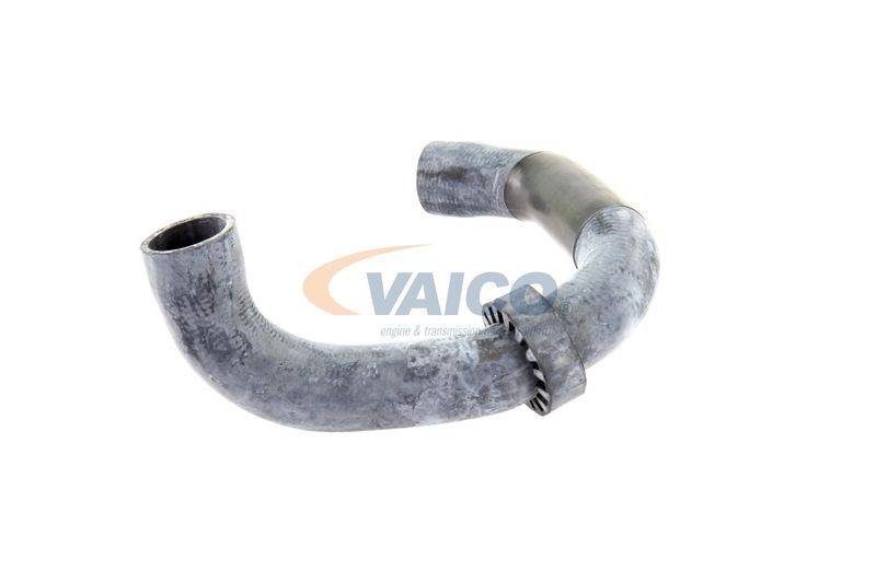 VAICO V30-2220 Radiator Hose