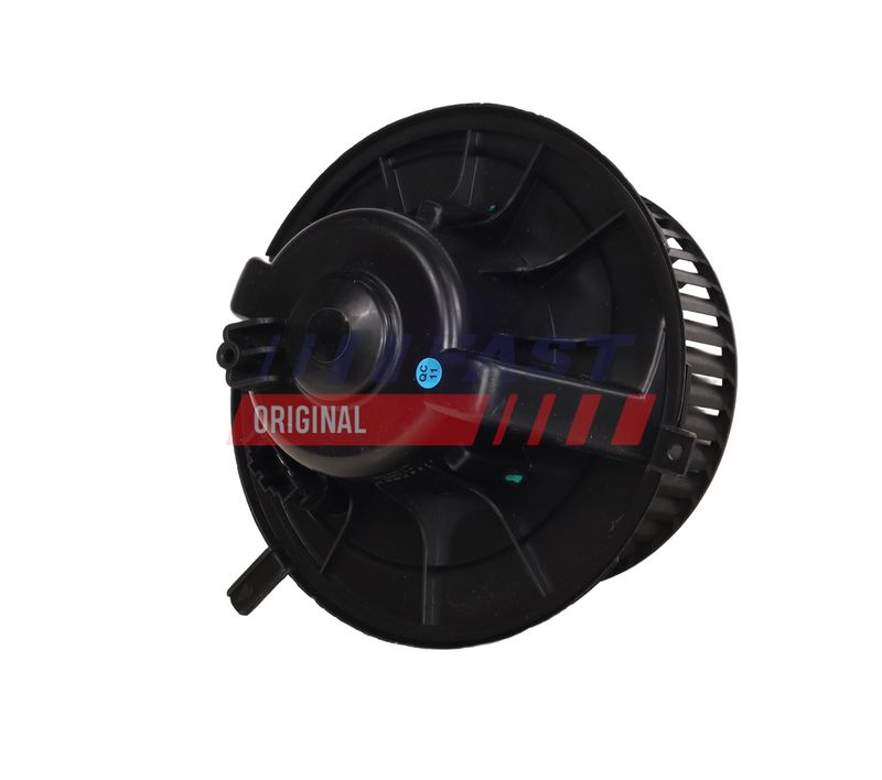 Salongipuhur, FAST FT13841