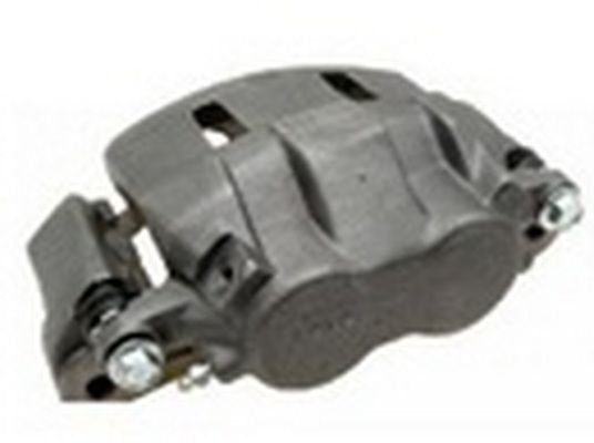 C1005R.JPG