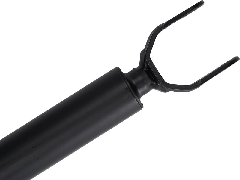 Amort, SACHS 318 063