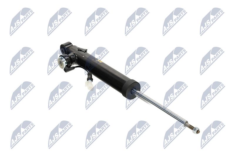Amort, NTY A-PL-065