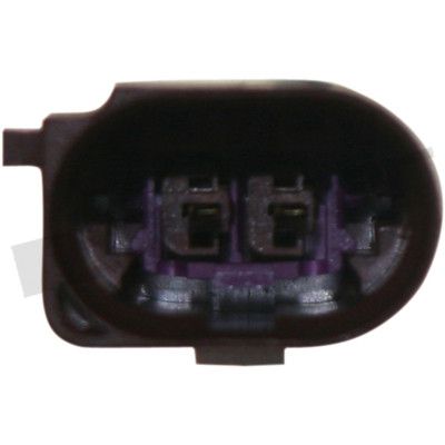 273-20376_4.JPG