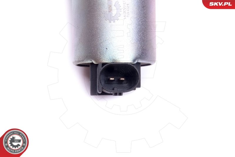 ESEN SKV 14SKV212 EGR Valve