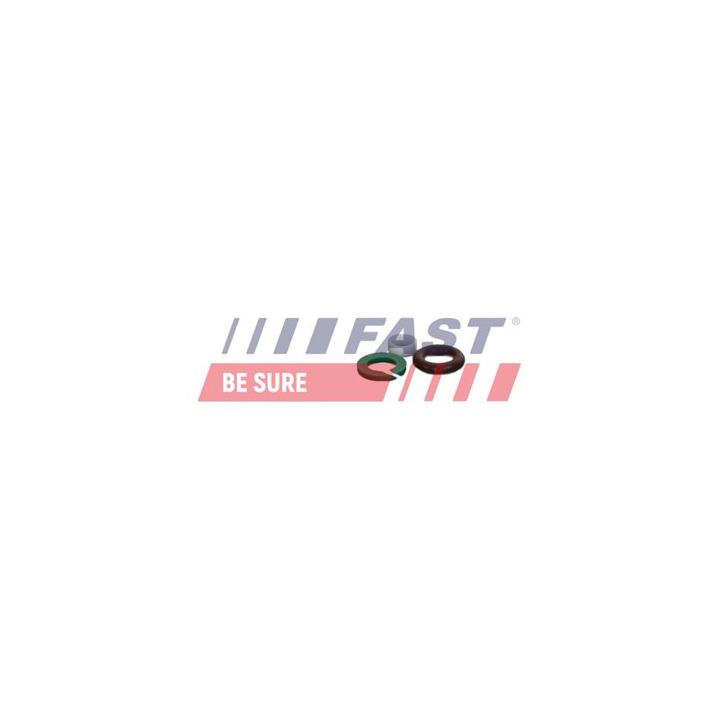FAST FT01835 Repair Kit, unit injector