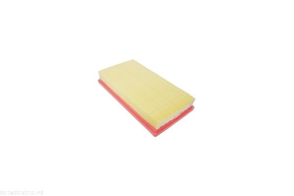 AUTOMEGA 180016010 Air Filter