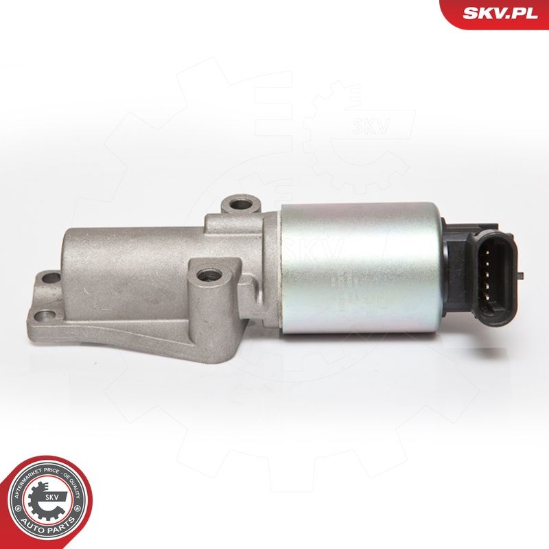 EGR-klapp, ESEN SKV 14SKV065