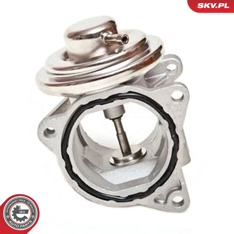 EGR-klapp, ESEN SKV 14SKV019