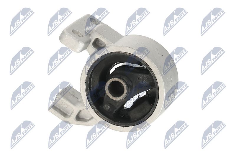 Paigutus, Mootor, NTY ZPS-KA-318