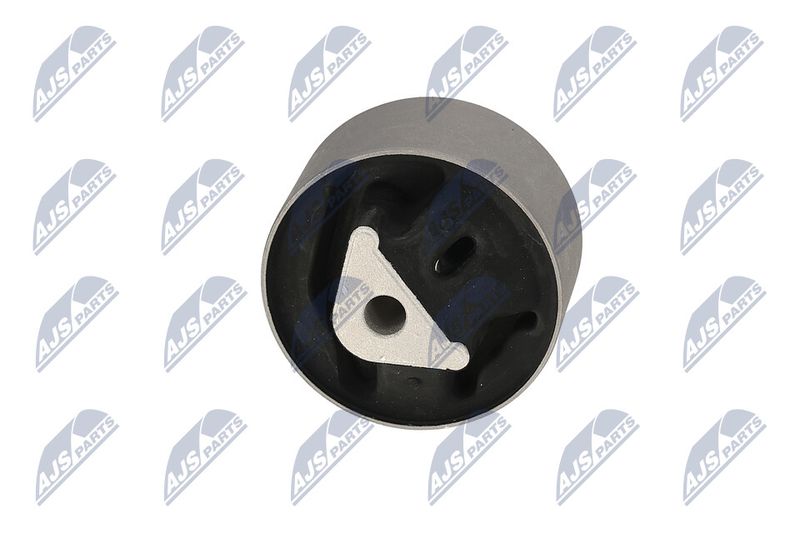 Paigutus, Mootor, NTY ZPS-CH-039