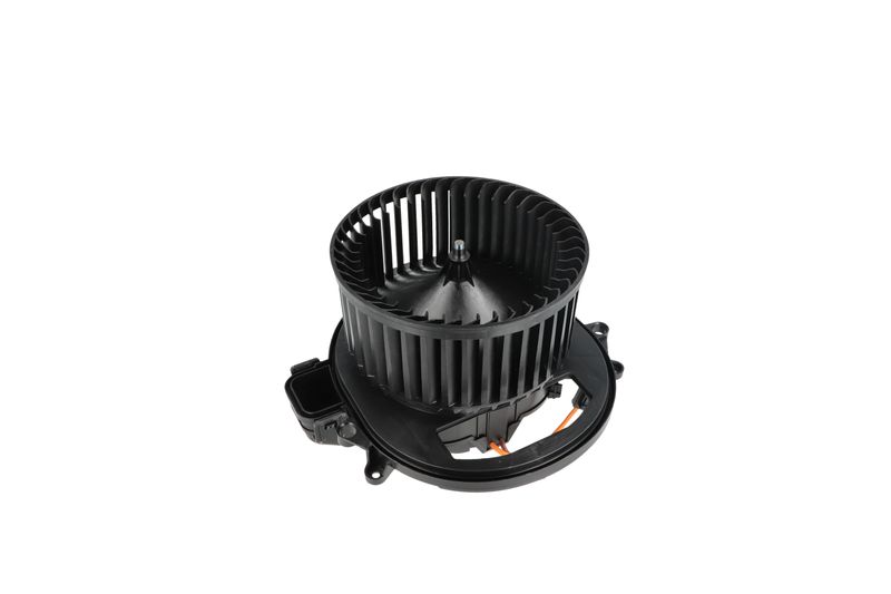 Salongipuhur, NRF 34236